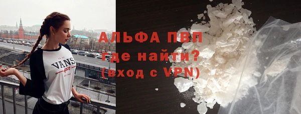 ГАЛЛЮЦИНОГЕННЫЕ ГРИБЫ Богданович