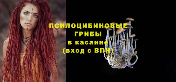 твердый Бронницы