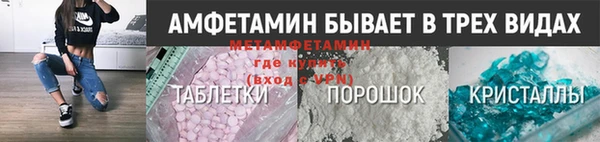 ГАЛЛЮЦИНОГЕННЫЕ ГРИБЫ Богданович