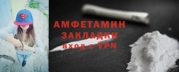 спиды Богородицк