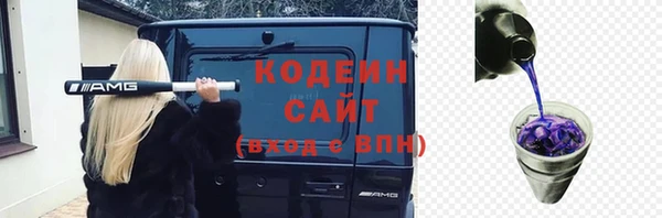apvp Бородино
