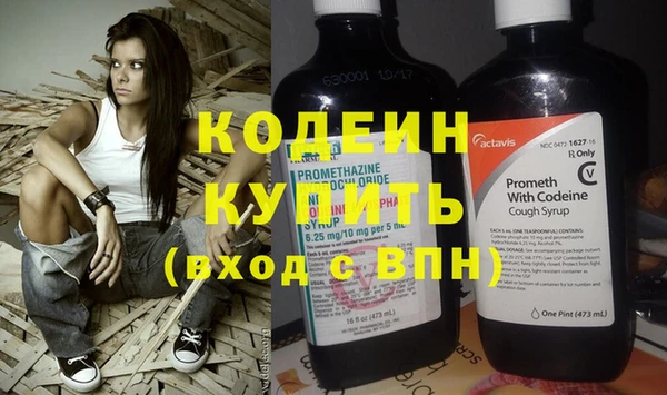 ГАЛЛЮЦИНОГЕННЫЕ ГРИБЫ Богданович