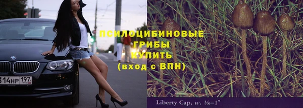 apvp Бородино