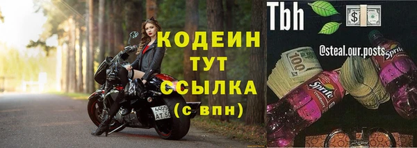 спиды Богородицк