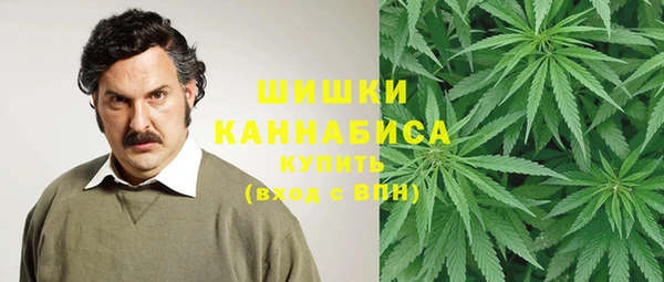 apvp Бородино